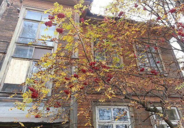 Адреса Пикуля и Цветаевой: слово без дела