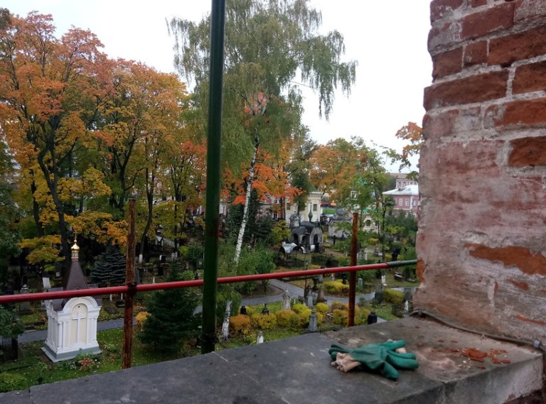 Волонтерство ВООПИК: бархатный сезон