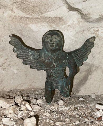 usp15.jpg