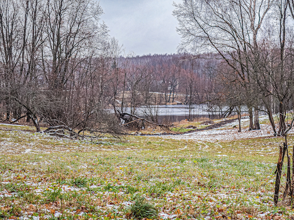 даровое6.jpg